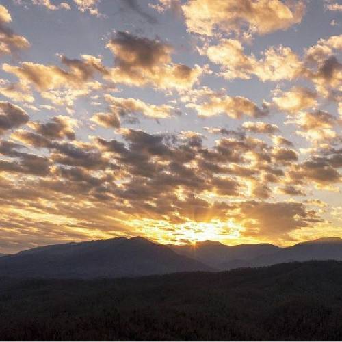 آرین طاهری تو چید مه نایدنه ساج علی